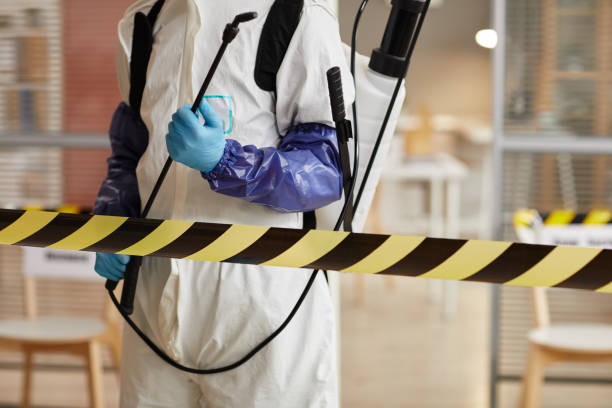 Professional Sewage Cleanup technician working in Sag Harbor, NY